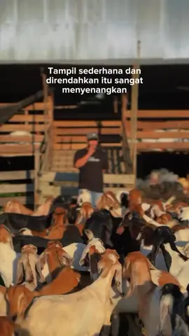 Selamat datang di titip farm kambing  Kami menyediakan sistem titip ternak kambing yang memudahkan anda dalam berinvestasi di bidang peternakan.dengan kami, anda bisa  1. Titip ternak: kami mengelola dan merawat kambing anda hingga siap panen. 2. Transparansi: setiap perkembangan dan kondisi kambing dapat di pantau secara real-time. 3. Keuntungan bersama: nikmati hasil panen yang menguntungkan tanpa repot. Bergabunglah dengan kami untuk mengoptimalkan potensi peternakan anda! #titipfarmkambing #investasipeternakan #kambingberkualitas #sistemtitip #peternakanmodern 