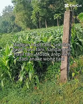 #petaniindonesia🇮🇩🇮🇩🇮🇩🌿🌿 #xbcafypシ 