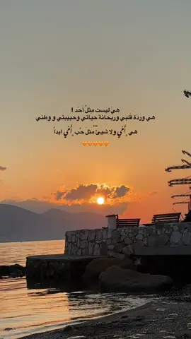 🧡  #امي #explore #foryou 