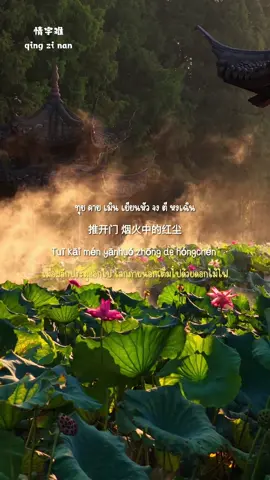 อักษรคำว่า 情ความรัก  จึงปรากฏขึ้น #情字难 #เพลงจีนแปลไทย #chinasong520 #เพลงจีนฮิตในtiktok #คำอ่านไทย 