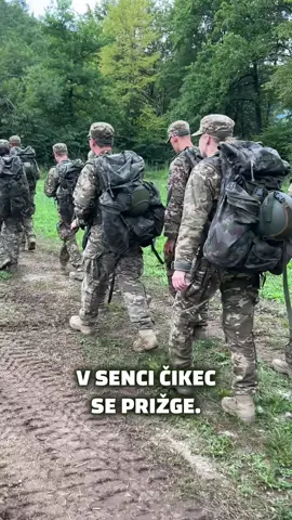 Pesem 4.voda. 🫡 video Marja Pavlin  #postanivojak #vojska #zaposlitev #slovenskavojska #slovenskavojska #tabor 