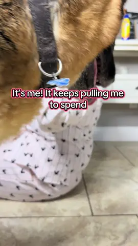 As Taylor said… I’m the problem!😂🙃 #funnytiktoks #trendingvideo #funnymom #MomsofTikTok 