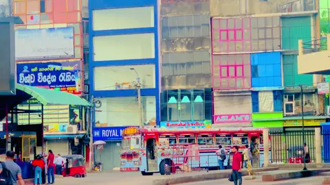 රූට් එකේ ඩීසන්ම අය 😏🧡❤️ ගනුල පුතා Super Line හලාවත 525 කුරුණෑගල ( N ) ND 3398 #fyp #foryoupage #ganula_putha_super_line #525පාරේබස් 