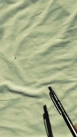 فيديو جديد 😀👌. . . . . . #بدون_موسيقى☕🖤 #رسمي #رسم #تصميم #فكرةحلوة 