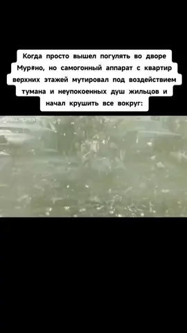 #мурино #жмурино #хейтмурино #урбанистическийад 