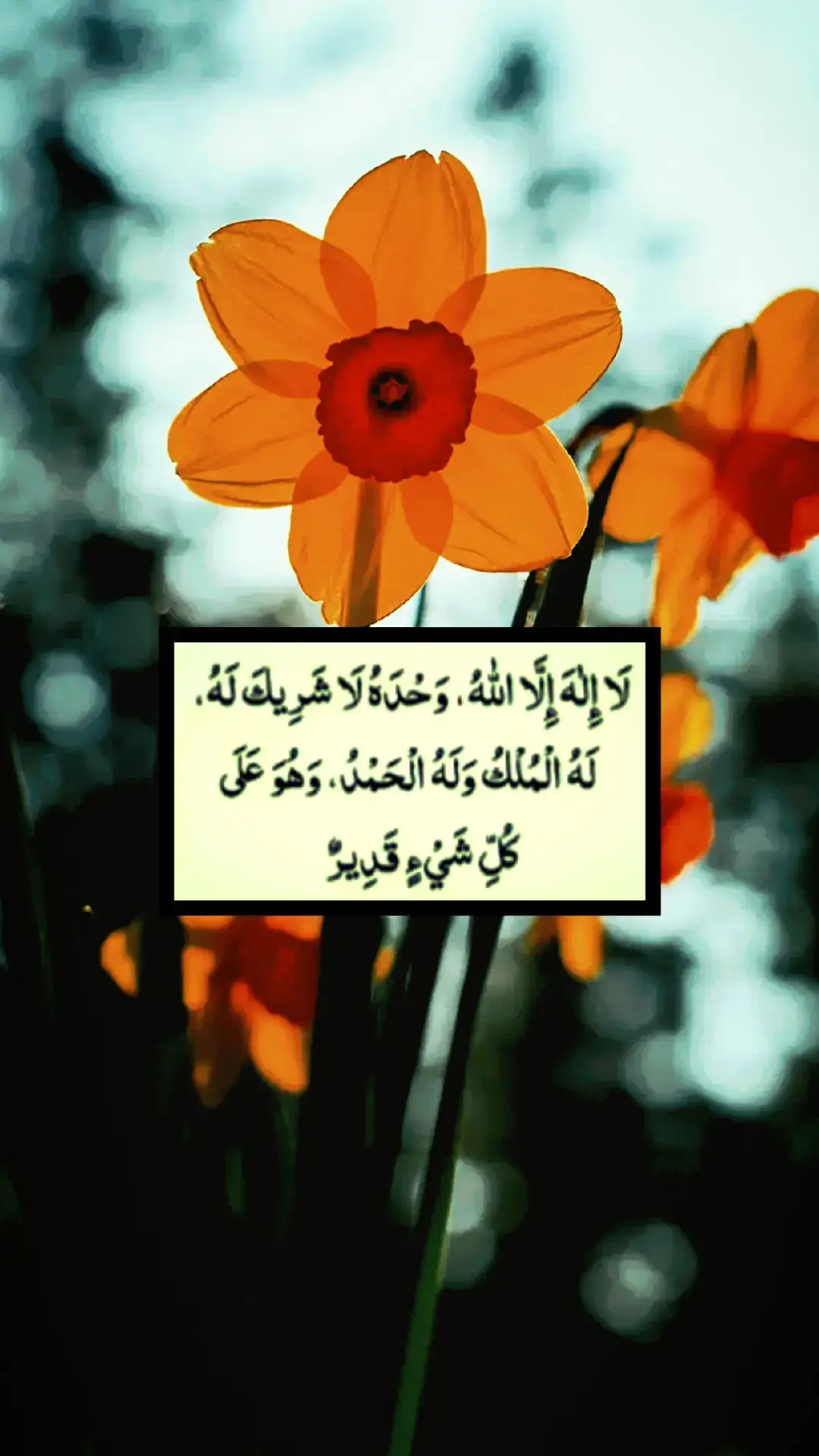 خدا اور اس کے فرشتے آپ ﷺ پر درود بھیجتے ہیں۔ اے 💯! ايمان والو 🖤.!! تم بھی ان  ﷺ پر درود و سلام بھیجو۔👇 اللَّهُمَّ صَلَّ عَلَى مُحَمَّدٍ وَ عَلَى آلِ مُحَمَّدٍ كَمَا صَلَّيْتَ عَلَى إِبْرَاهِيمَ وَعَلَى آلِ إِبْرَاهِيمَ إِنَّكَ حَمِيدٌ مَجِيدٌ .❤️ اللَّهُمَّ بَارِكْ عَلَى مُحَمَّدٍ وَ عَلَى آلِ مُحَمَّدٍ كَمَا بَارَكْتَ عَلَى إِبْرَاهِيمَ وَعَلَى آلِ إِبْرَاهِيمَ إِنَّكَ حَمِيدٌ  مَجِيدٌ ❤️ TIKTOK I'D👇👇👇👇 amirkhan..719   Islamic videos  #islamabadbeautyofpakistan #Islamabad #islamicrepublicofpakistan #Pakistan #beautifuldestinations 