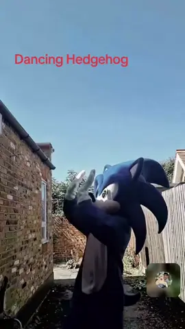 Dancing Hedgehog unclemonic  #unclemonic #npc #tiktoklive #livehighlights 