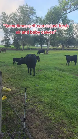 “Morning walks with the cows & calves 🐮🌱 This is my kind of self-care.”#SelfCare #FarmLife #MorningRoutine #CalfTok 