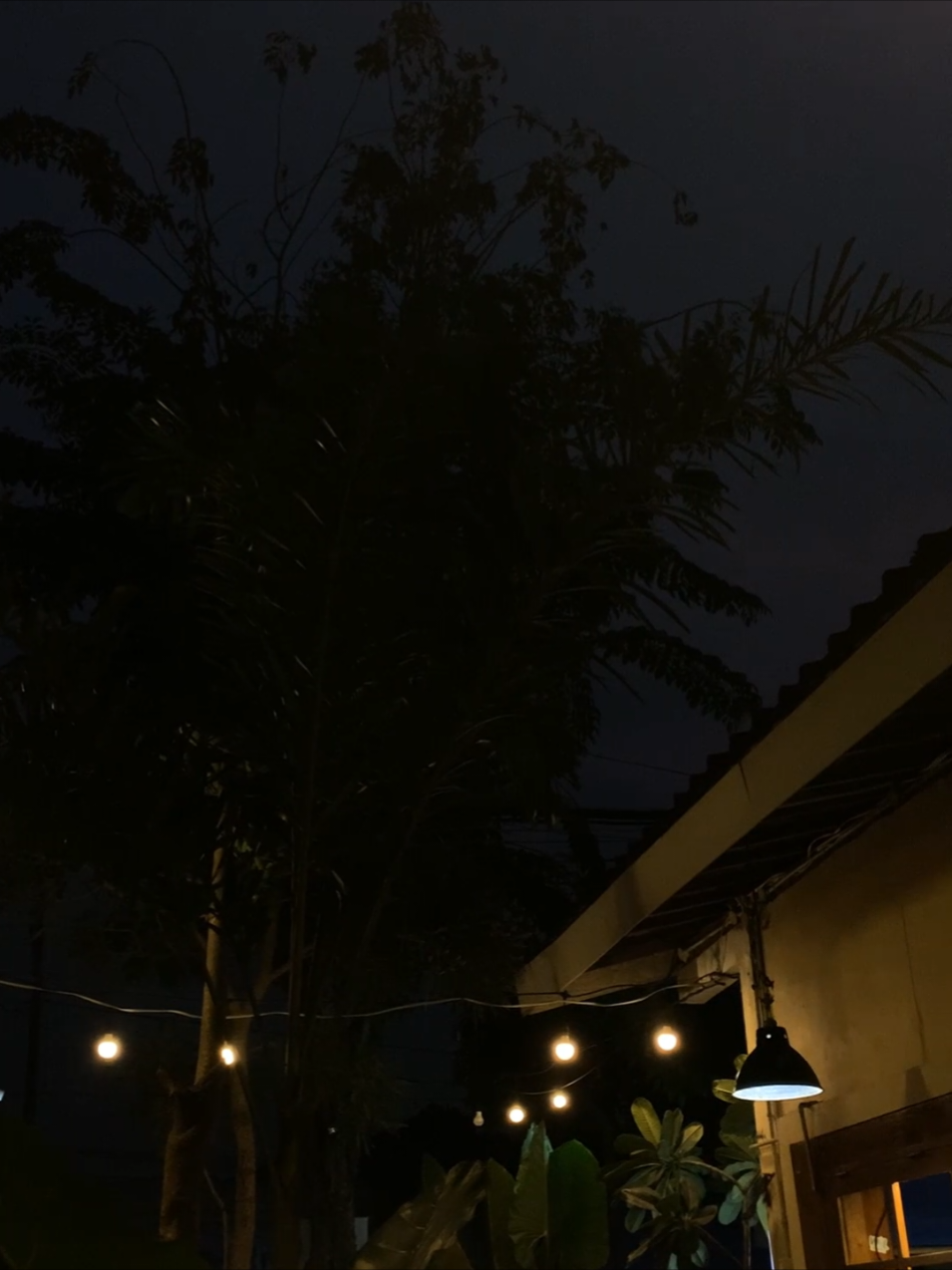 kata katamu bolo#bjn24jam #lirikvideo #xyzbca #salahkahkita 