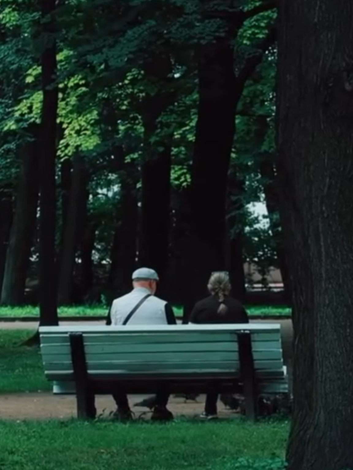 حقك جنت احبك كلش هواي عمر هادي #عمر_هادي #موال #تصميم_فيديوهات🎶🎤🎬 #شعر_شعبي 