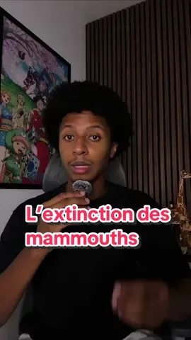 Dans cette vidéo, je te parle de la disparition des mammouths... et notamment de l'impact de l'espèce humaine. Mais ce n'est qu'une partie de l'histoire : le climat, la fonte des glaces et la disparition des steppes ont aussi joué un rôle énorme dans leur extinction 🦣 #extinctanimals 