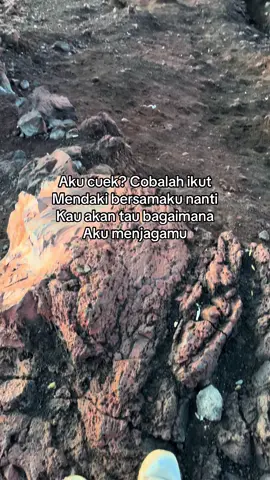 #pendakigunung #pendakiindonesia #gunungkerinci3805mdpl #masukberanda #fypシ゚viral 