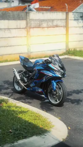 🥺 #fyp #beranda #zx25r 