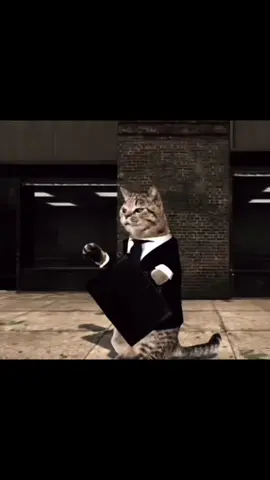 best cat rn #fyp #foryou #makethisviral #foryoupage #edit