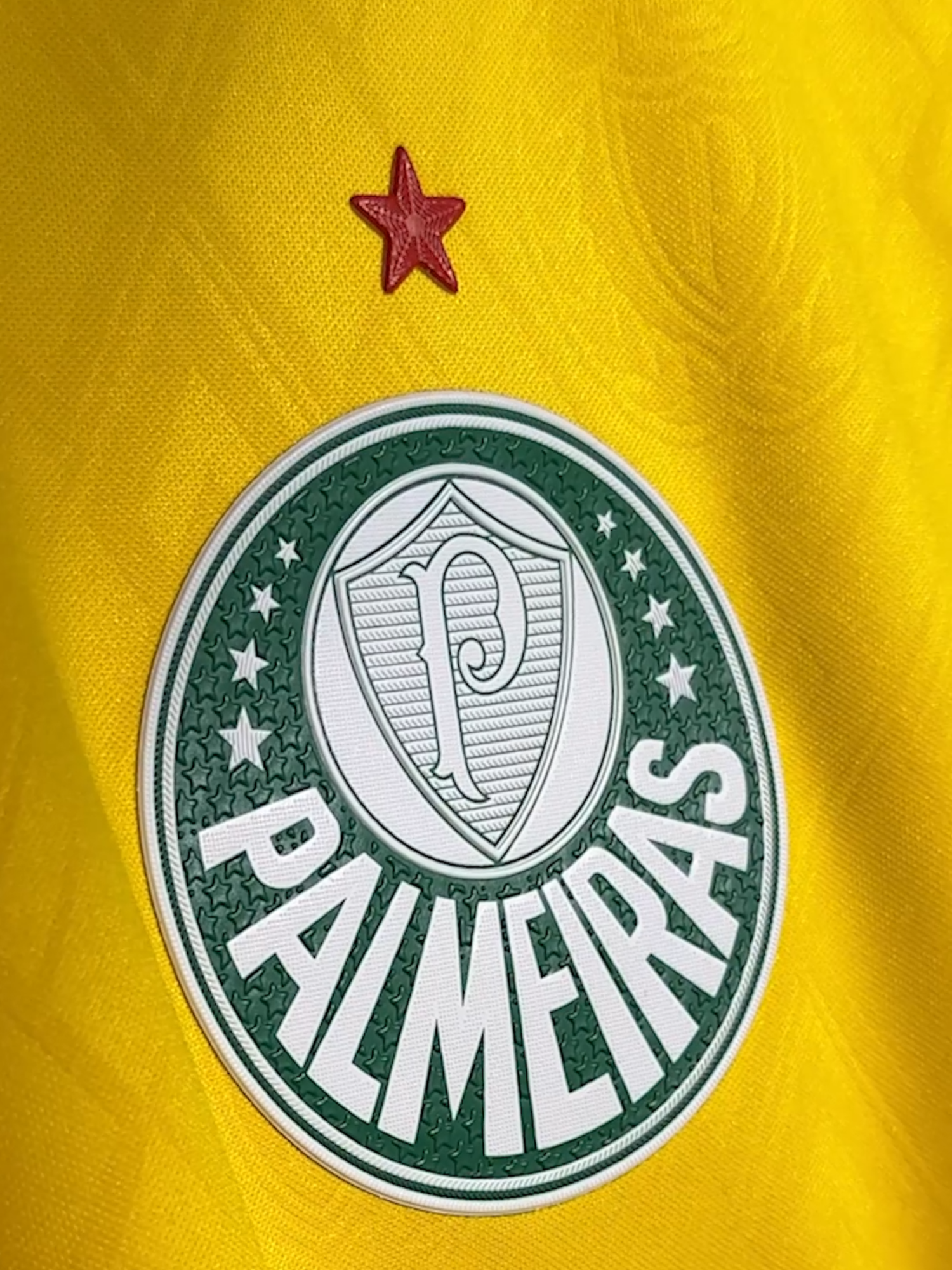 A nova terceira camisa do #MaiorCampeãoDoBrasil chegou! Encontre a sua na Palmeiras Store e lojas PUMA! 🟢⚪ #PUMAxPalmeiras #PalmeirasMeuPalmeiras #Palmeiras #TikTokEsportes
