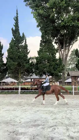 Momi luv you Megan 🐴 #equestrianlife#equestriangirl#cewekuda#jumpinghorse#horsejumping  