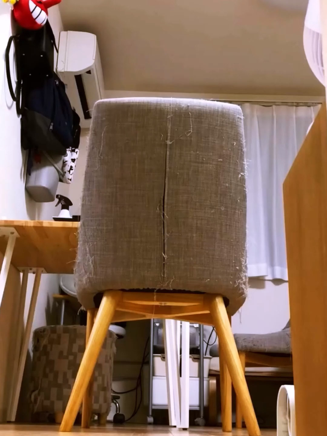 #funny #petsoftiktok #catsoftiktok #funnyvideos #funnyanimals #catlover #doglover