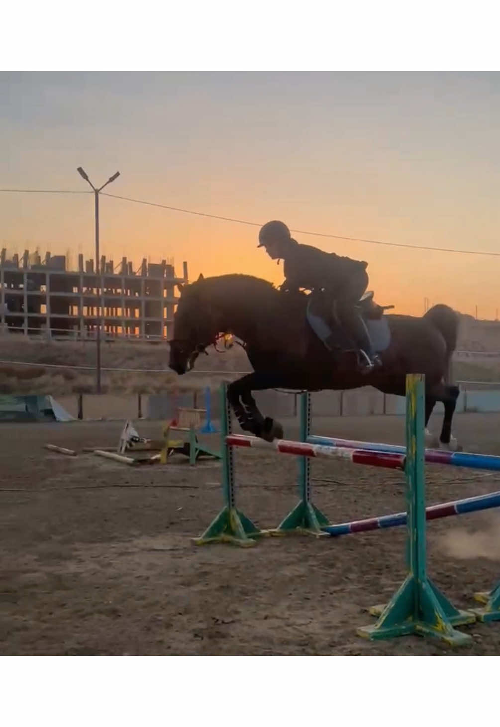 Герцог и Сафия - высоко летим. Лошадка продаётся исключительно тем, кто жаждет высоких побед #konkur_dagestan #horses #equestrian #конкур #dagestan    