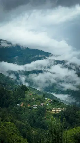 💚💚