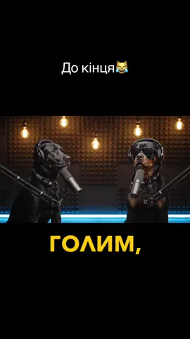 🐱КІТПЕС🐶 ПОДКАСТ | СЕРІЯ 18: ГОЛІ ЖАРТИ🤸🏻‍♀️