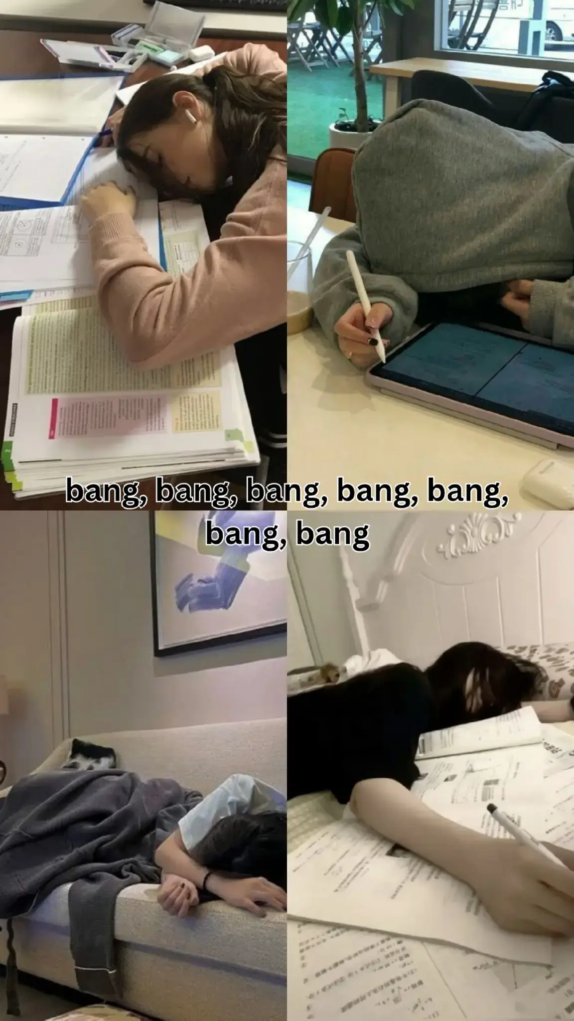 #studyjourney2025 #crdphoto #fyp #tiktok #trending 