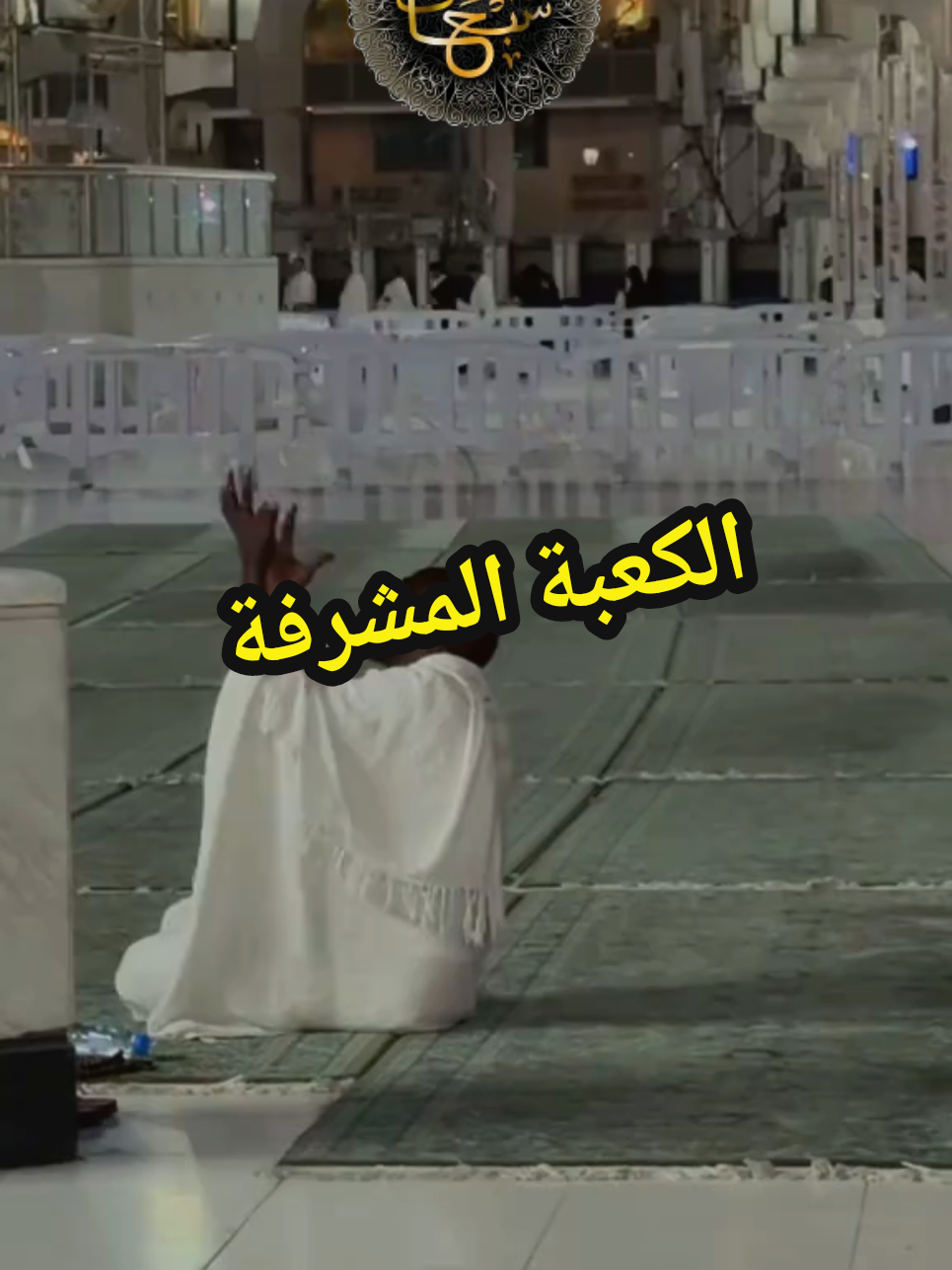 #القران_الكريم #تلاوة_خاشعة #راحة_نفسية #ارح_سمعك_بالقران #ماشاءالله_تبارك_الله 