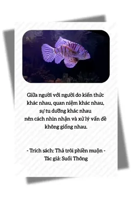 Giữa người với người do kiến thức khác nhau, quan niệm khác nhau, sự tu dưỡng khác nhau nên cách nhìn nhận và xử lý vấn đề không giống nhau. #docvacam #doansachhay90 #thatroiphienmuon #suynghitichcuc #thaydoicuocsong 