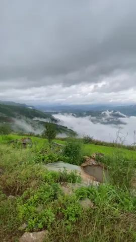 Tà Số đẹp cỡ này #xuhuong #tiktokviral #sanmay 