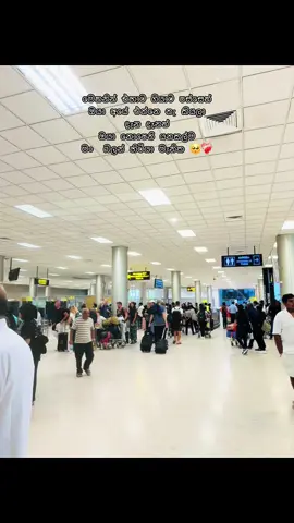 #එන්න බැ කියලා දැන දැනත් අවසාන තත්පරේ වෙනකල් ඔයා දිහා බලාගන ඉන්න එකත් සැනසීමක් වෙනකල් මිනිස්සු කොච්චර අසරන වෙනවාද මෙතන #katunayake_bandaranayake_international #airport_feeling✈️ #😔 #fypシ 