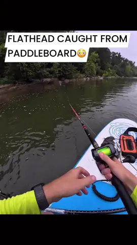 Hellcat rod on a nice flathead off a paddle board 🔥 #catchthefever #fishtok #hellcatrods #catfishing #paddleboard 