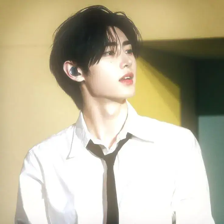 he is so handsome.. #enhypen #sunghoon #fyp #pfp #fypviralシ #xyzbca #fyp #bi 