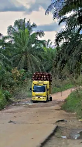 adakah bos, buat hiburan dikit🤣@𝖆𝖟𝖎𝖟𝖟𝖟🚀@Odoy_Ahay  #trucksawitjambimerangin #truckstylejambi🔥 