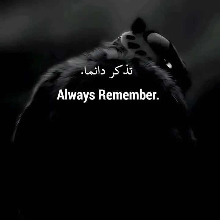 #اقتباسات_عبارات_خواطر #اقتباسات # #جملية #عبارات #رائع #تحفيز #الحياة #امل #لاتفقد_الامل #اكسبلور #typ #xuhuongtiktokk #trendingvideos #videoviral #explore