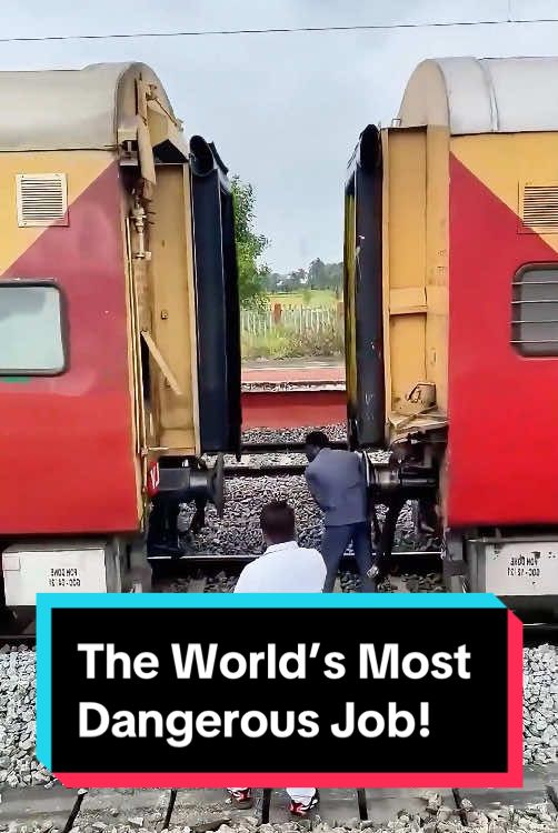 The World’s Most Dangerous Job #explore #world #usa🇺🇸 #fyp #foryou #LearnOnTikTok 
