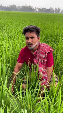 বিয়ের গ্যারা 🤣 #viralvideo  #foryou  #foryoupage  #comedyvideo  #bdtiktokofficial🇧🇩 