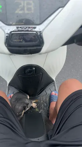 Chuyến này chắc đi ăn mày luôn#kengheomacokiniem😂😂😂😂😂😂 #xin1follower #minhtinhvlog 