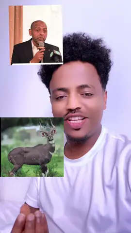 #ethiopian_tik_tok #oromotiktok #oromotiktok❤️💚❤️ethiopiantiktok🇪🇹🇪🇹 #oromomusic #ethiopian_tik_tok🇪🇹🇪🇹🇪🇹🇪🇹 @Ibsa abba jalala 2 B3  @Ibsa abba jalalaa 3B🇳🇱  @Ibsa abba jalalaa 3B🇳🇱  @Ibsa abba jalalaa 3B🇳🇱 