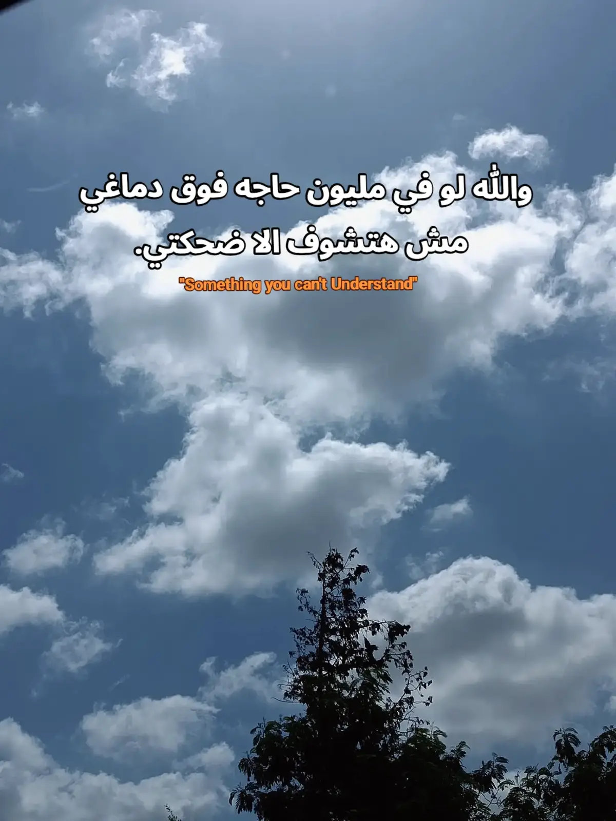 #fyp #foryou #foryoupage #viralvideo #viral 