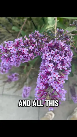 #reality #song #viral #uk #fyp 