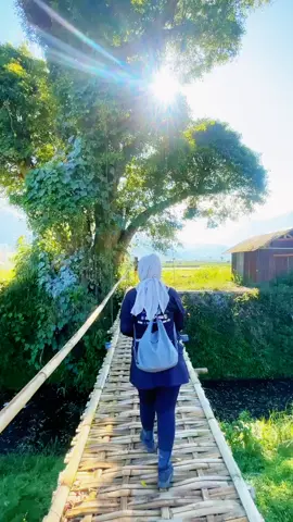 Kesasar berujung ketemu tempat yang cantik ini.... Sembalun dari sisi mana aja memang cantik 😍😍😍#lombok #fyp #viral #sembalunlombok #rinjani 