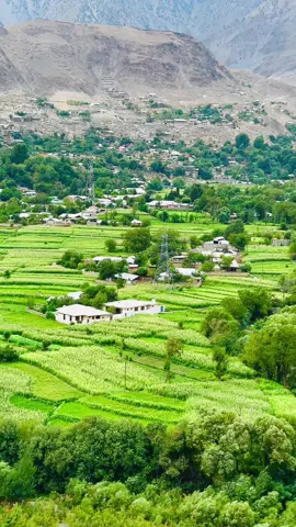 AYUN VALLEY❤️….. #creatorsearchinsights #fyyyyyppppppp #nature #repost #90ssong