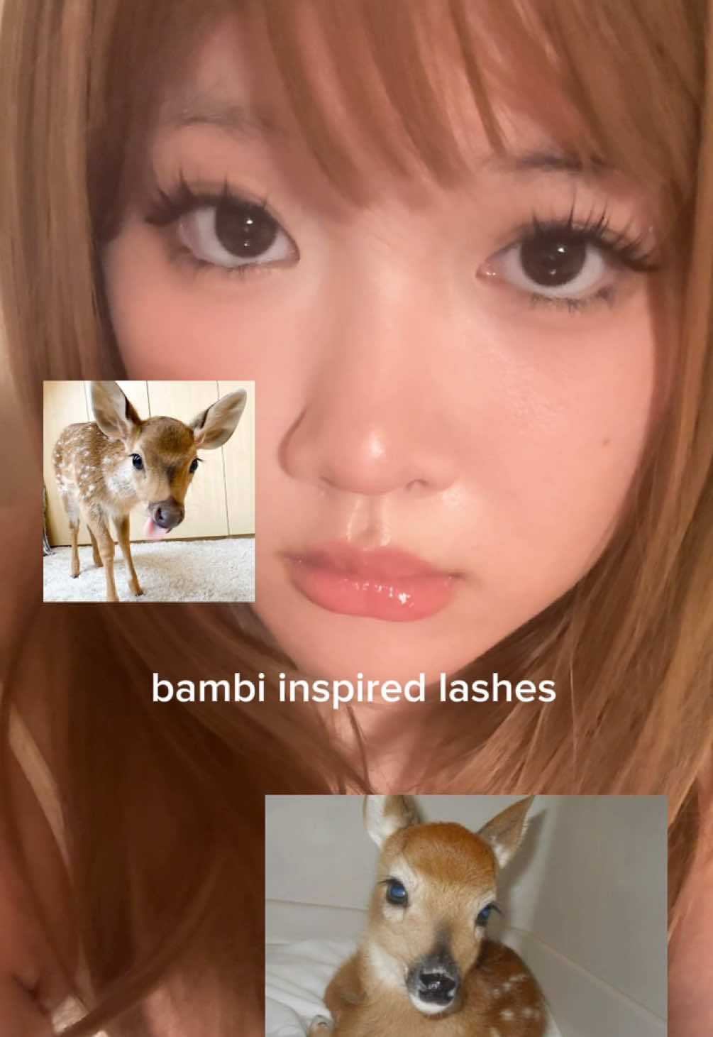 bambi inspired lashes for a doe eyed look! lashes are from @Fowendia Lashes in the style wannabeeee #fowendia #fowendialashes #fyp #lashclusters #diylashextensions 