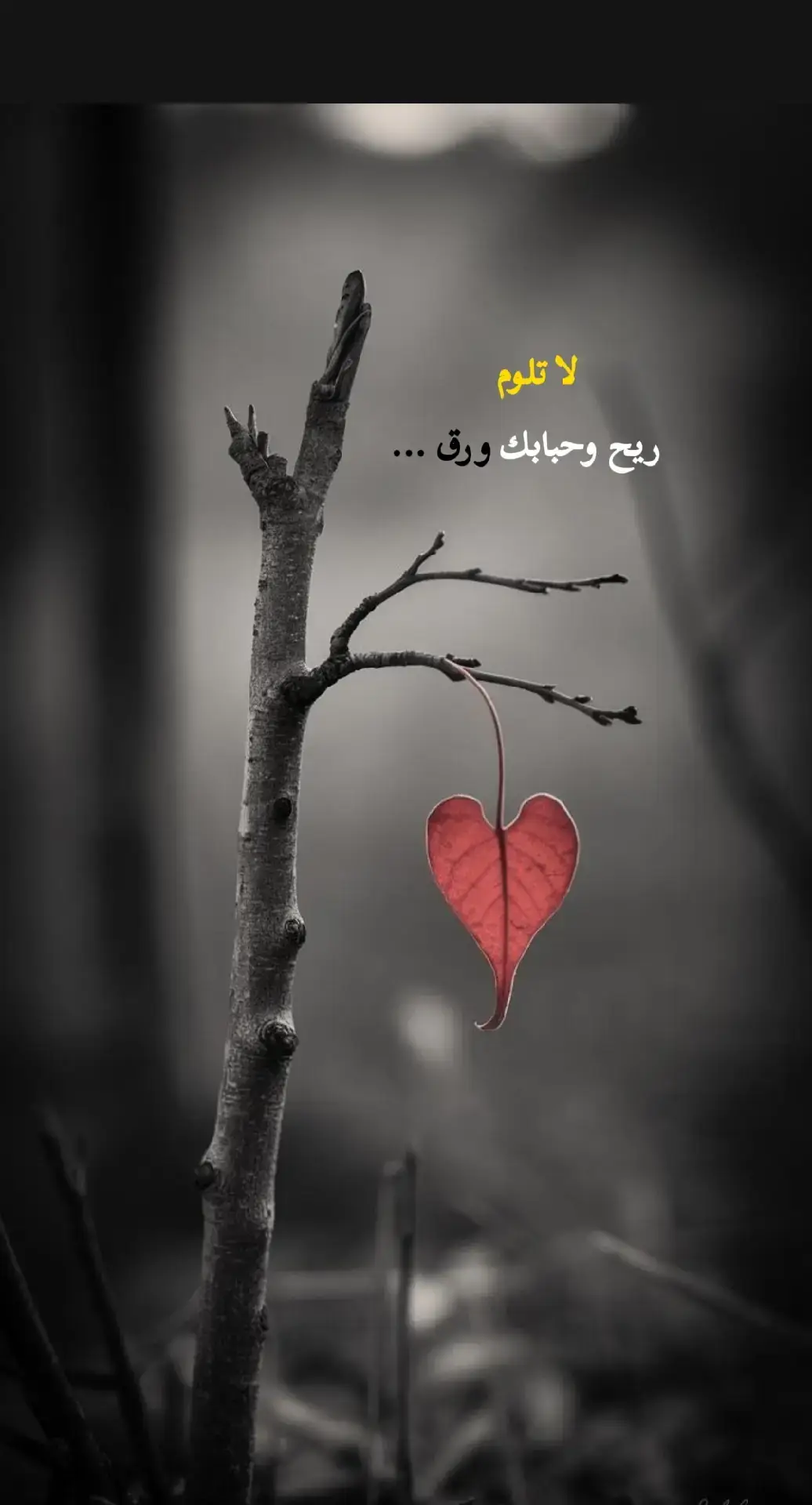 #اقتباسات_عبارات_خواطر #عبراتكم_الفخمه📿📌 #عبارات #متابعه_ولايك #كسبلور_explor 