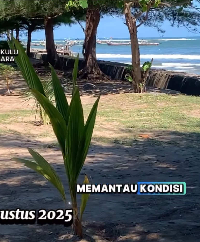 Lapor Bapak Walikota, Wakil Walikota, Bapak Sesda dan Asisten: kegiatan Camat Teluk Segara hari ini senin tanggal 25 agustus 2025 : 1. Menghadiri lomba sepuluh program kerja PKK yang langsung dihadiri dan dinilai oleh Ibu Ketua PKK Kota bengkulu di kelurahan tengah padang. 2. koordinasi dengan bapak Lurah malabero tentang realisasi dana kelurahan. 3. ditemani langsung dengan bapak lurah malabero memantau kondisi tanaman kelapa yang ditanam dalam gerakan menanam 10.000 kelapa, di mes pemda, alhamdulillah telah tumbuh dengan baik semua. 4. koordinasi dengan ketua LPM Pasar Baru terkait realisasi dana kelurahan tahun 2025. demikian laporan kegiatan hari ini, barokallah dn semoga kita selalu dijaga Allah, aamiin yaa ribal'alamiiin.#fyp #