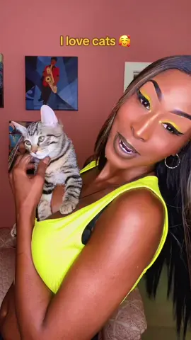 Kitty cats are my favorite, but I love all animals 🥰😍♥️   