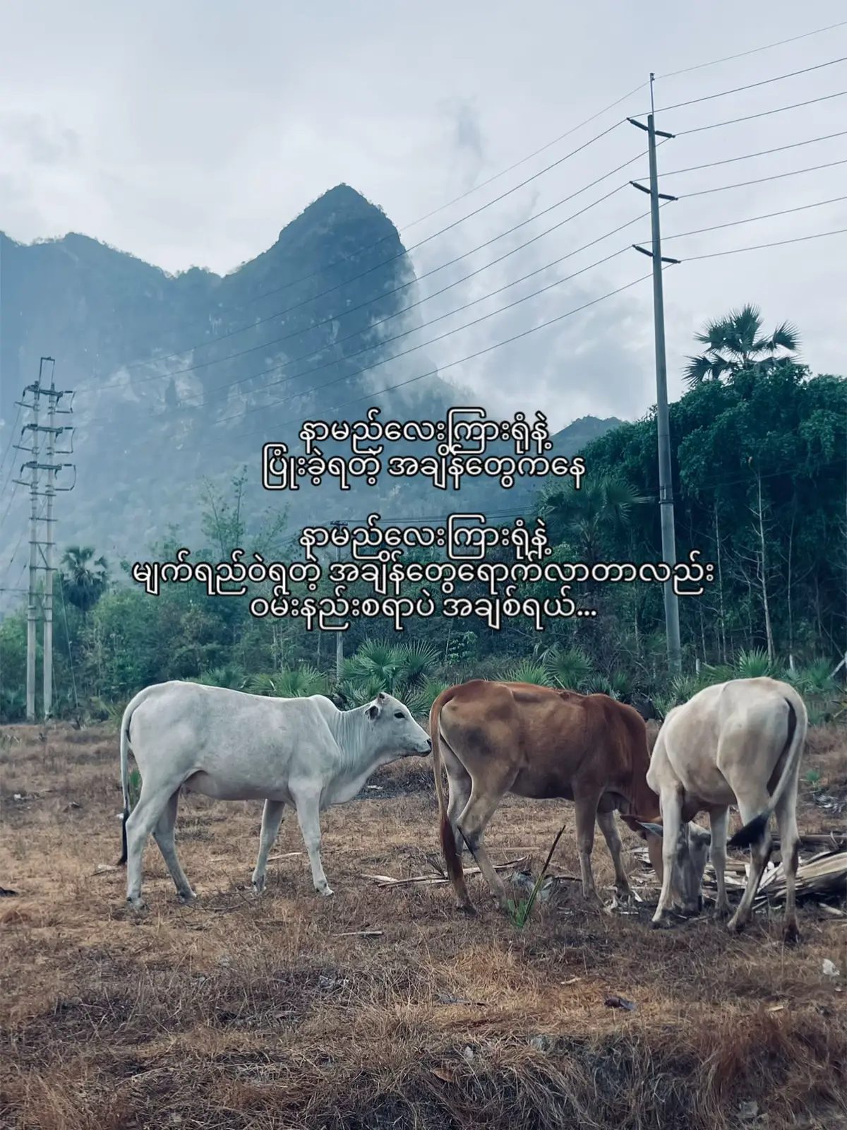 🚬#fyp #crd #fyppppppppppppppppppppppp 