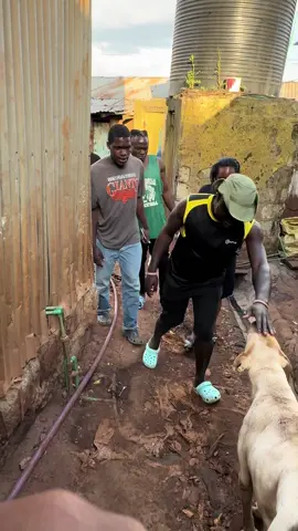 #fyp #honmbithemulinge 