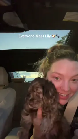 Life update, we got a puppy 🥹🐶🐾 This is Lily!!! We have been looking to get a puppy for a while now and absolutely fell in love with her 💗 #puppytiktok #puppy #cockerspaniel #dog #fyp 