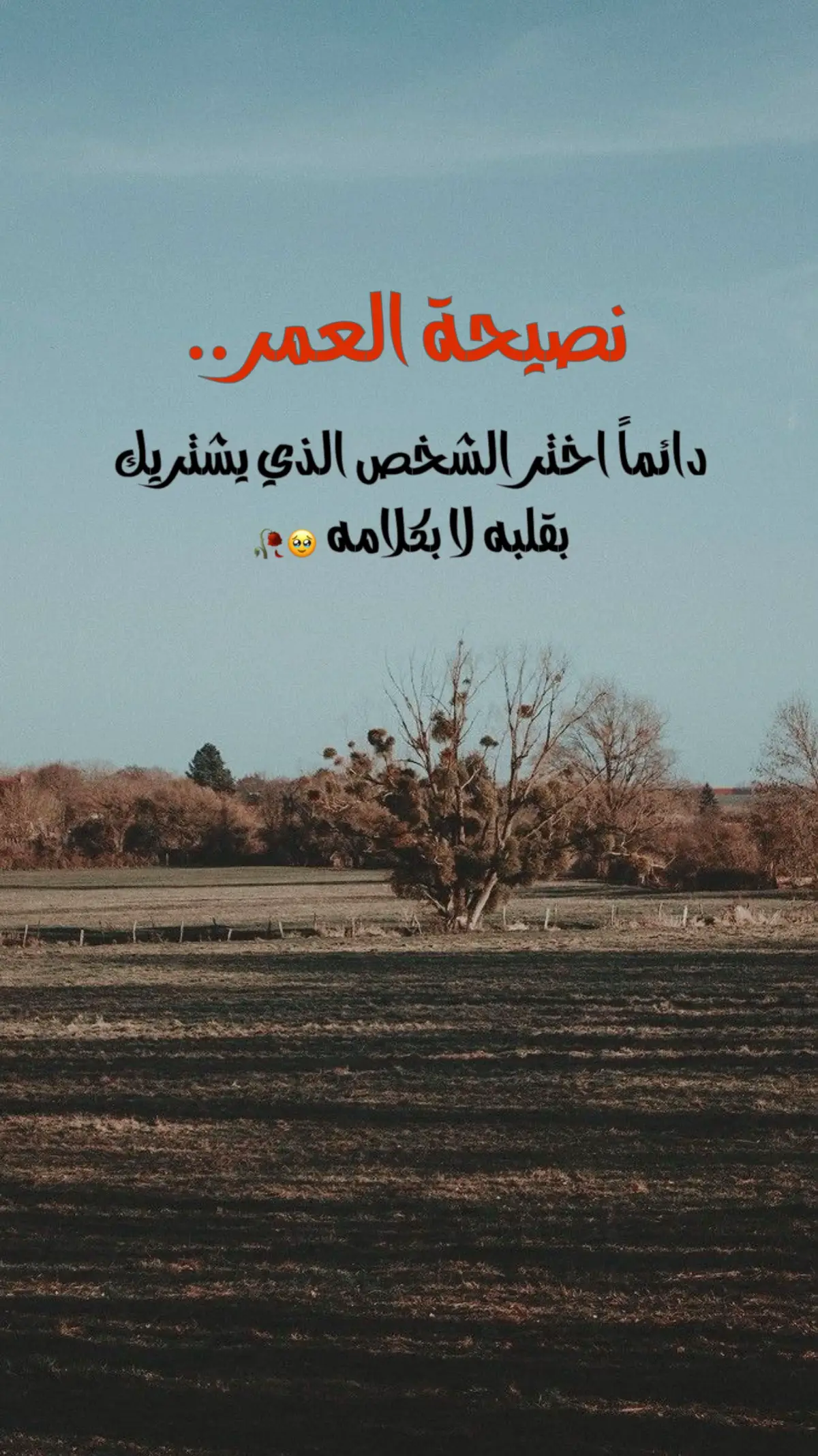 #قتباسات #تصميمي #اكسبلورexplore 