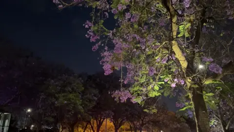 الصد ماهو للولايف 🧑🏻‍🦯 . #مسفر_بن_دريميح #تصميمي #foryo #fyp 